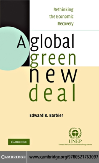 Global Green New Deal : Rethinking the Economic Recovery, PDF eBook