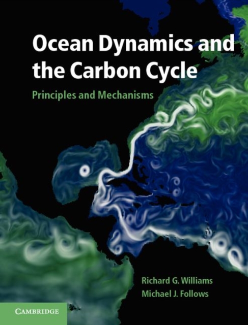 Ocean Dynamics and the Carbon Cycle : Principles and Mechanisms, PDF eBook