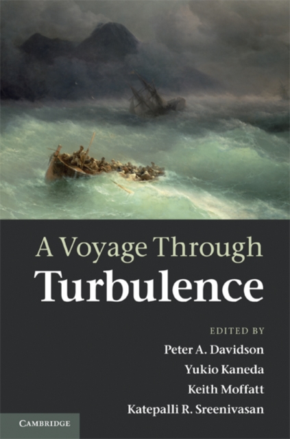 Voyage Through Turbulence, PDF eBook