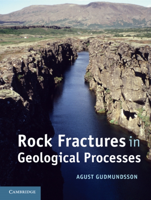 Rock Fractures in Geological Processes, PDF eBook