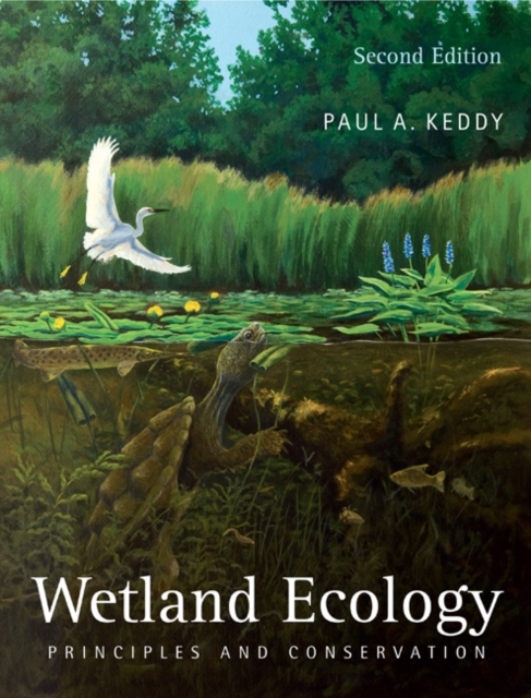 Wetland Ecology : Principles and Conservation, EPUB eBook