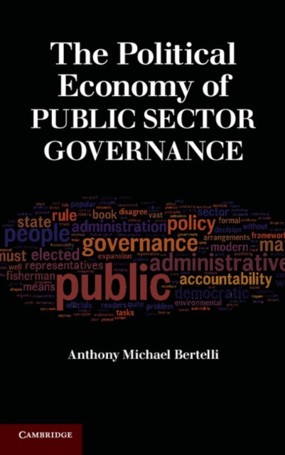 Political Economy of Public Sector Governance, PDF eBook