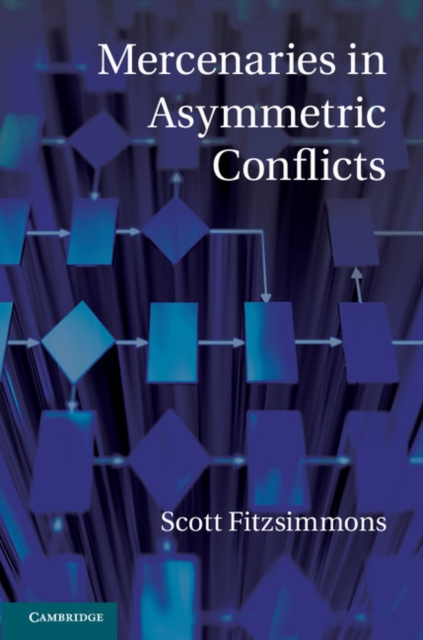 Mercenaries in Asymmetric Conflicts, EPUB eBook