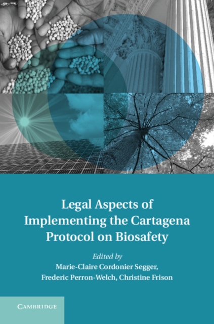 Legal Aspects of Implementing the Cartagena Protocol on Biosafety, EPUB eBook