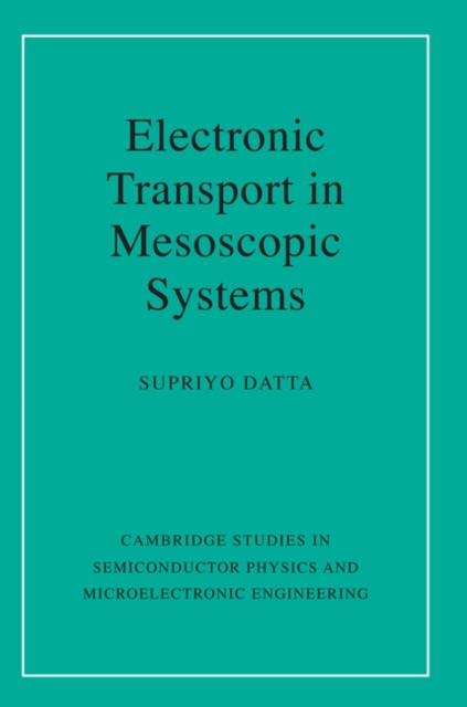 Electronic Transport in Mesoscopic Systems, PDF eBook
