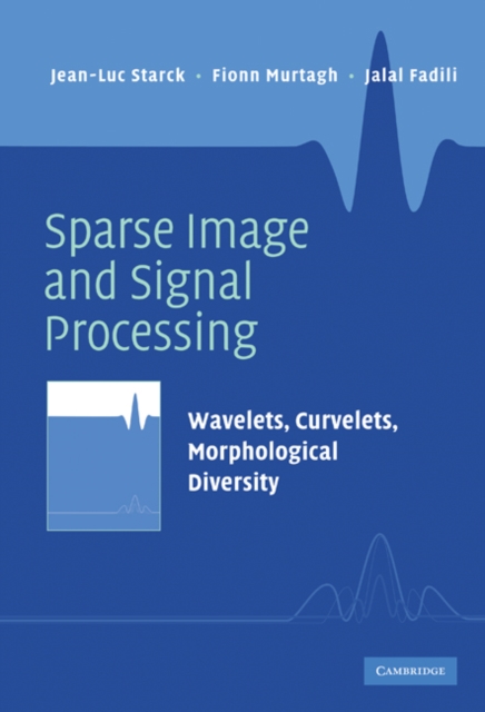 Sparse Image and Signal Processing : Wavelets, Curvelets, Morphological Diversity, EPUB eBook