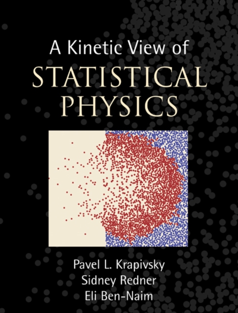 Kinetic View of Statistical Physics, EPUB eBook
