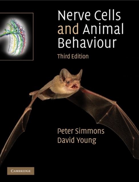 Nerve Cells and Animal Behaviour, PDF eBook