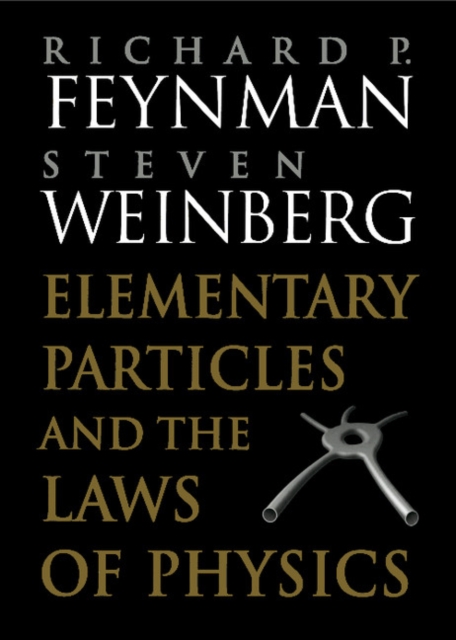 Elementary Particles and the Laws of Physics : The 1986 Dirac Memorial Lectures, EPUB eBook