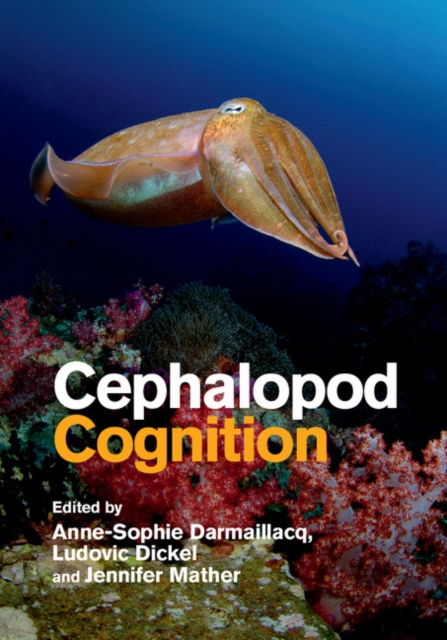 Cephalopod Cognition, EPUB eBook