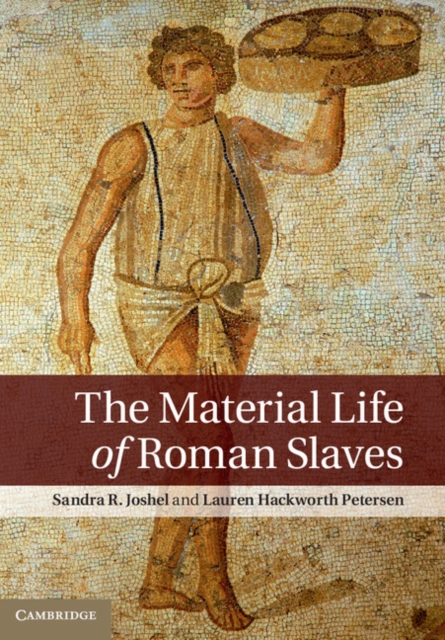 The Material Life of Roman Slaves, PDF eBook