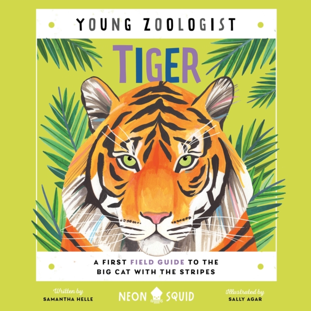Tiger (Young Zoologist) : A First Field Guide to the Big Cat with the Stripes, eAudiobook MP3 eaudioBook