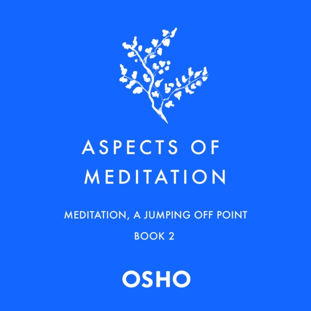 Aspects of Meditation Book 2 : Meditation, a Jumping Off Point, eAudiobook MP3 eaudioBook