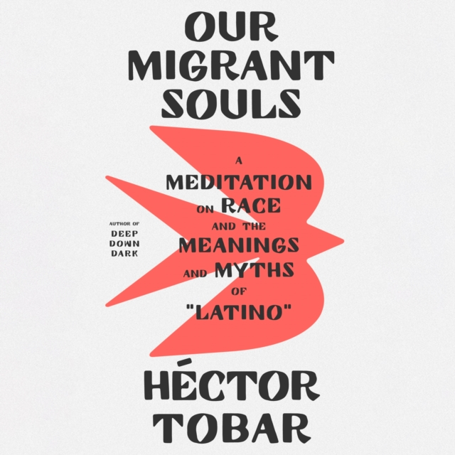 Our Migrant Souls : A Meditation on Race and the Meanings and Myths of "Latino", eAudiobook MP3 eaudioBook