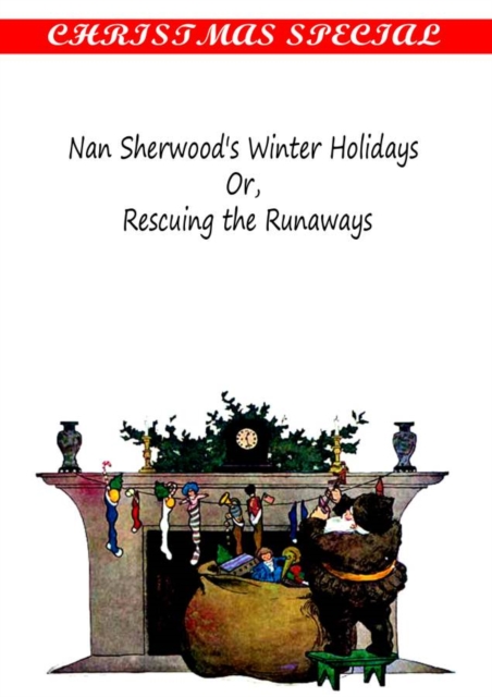 Nan Sherwood's Winter Holidays, PDF eBook