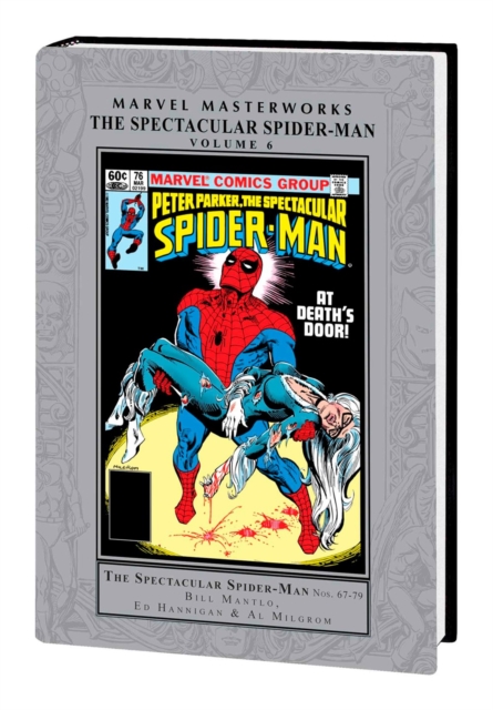 Marvel Masterworks: The Spectacular Spider-man Vol. 6, Hardback Book