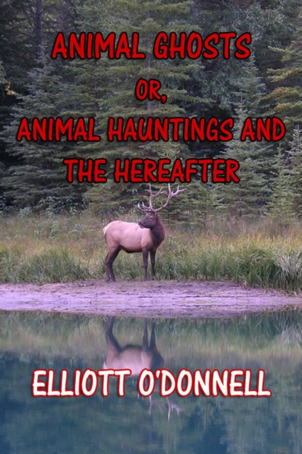 Animal Ghosts : Animal Hauntings and The Hereafter, EPUB eBook