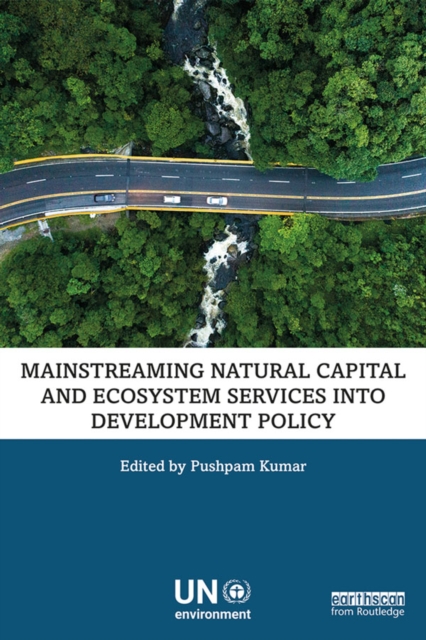 Mainstreaming Natural Capital and Ecosystem Services into Development Policy, EPUB eBook