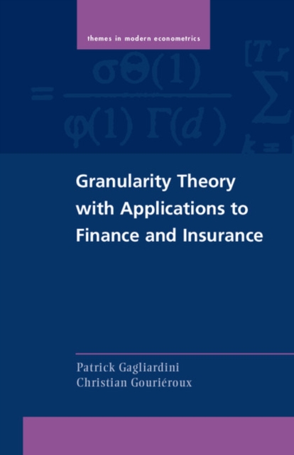 Granularity Theory with Applications to Finance and Insurance, EPUB eBook