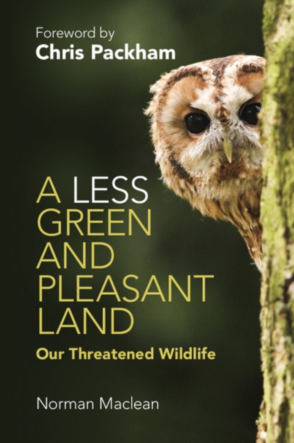 Less Green and Pleasant Land : Our Threatened Wildlife, PDF eBook