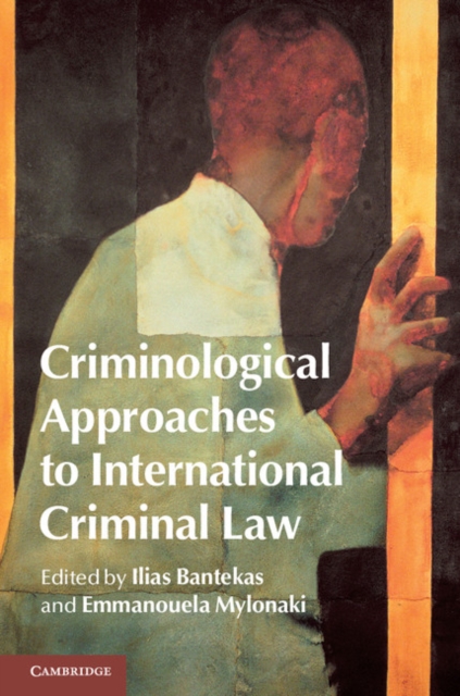 Criminological Approaches to International Criminal Law, EPUB eBook
