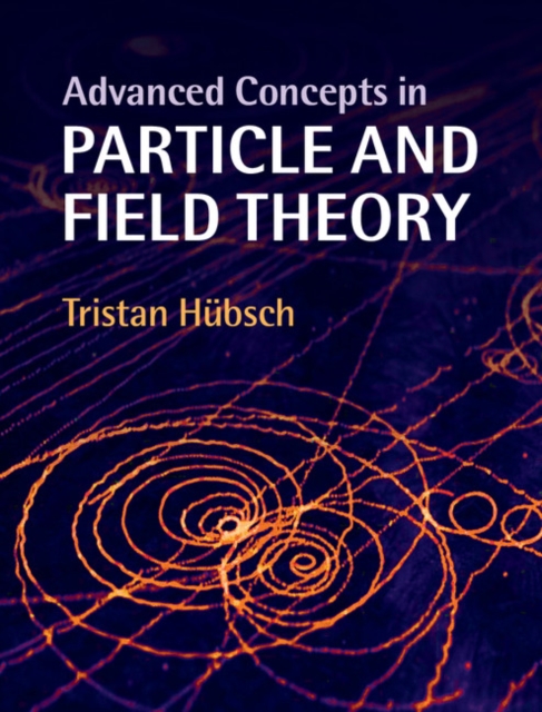 Advanced Concepts in Particle and Field Theory, EPUB eBook