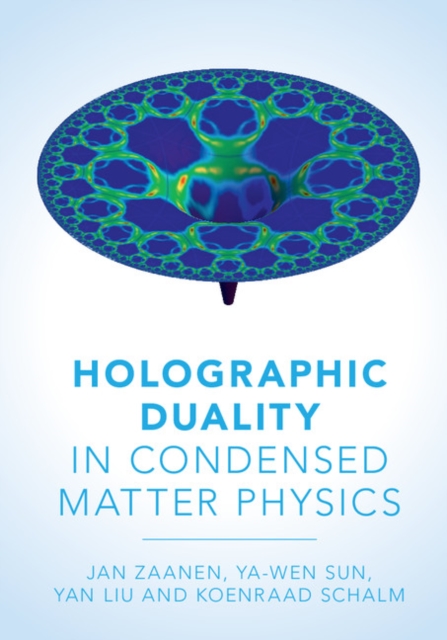 Holographic Duality in Condensed Matter Physics, PDF eBook