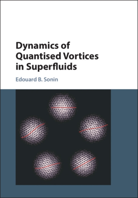 Dynamics of Quantised Vortices in Superfluids, EPUB eBook