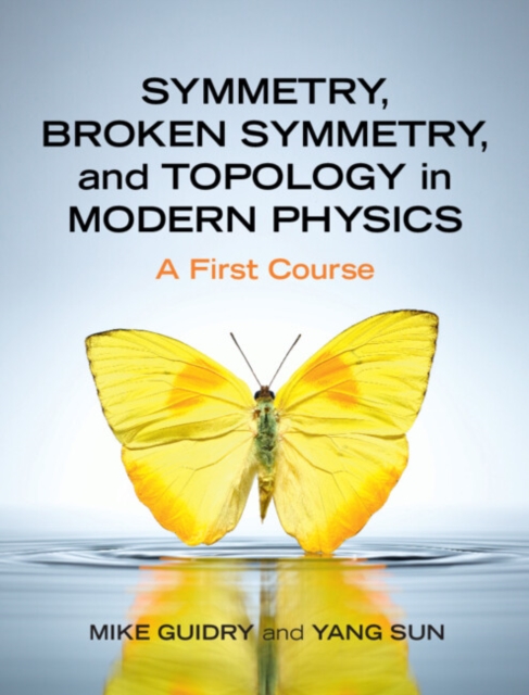 Symmetry, Broken Symmetry, and Topology in Modern Physics : A First Course, Hardback Book