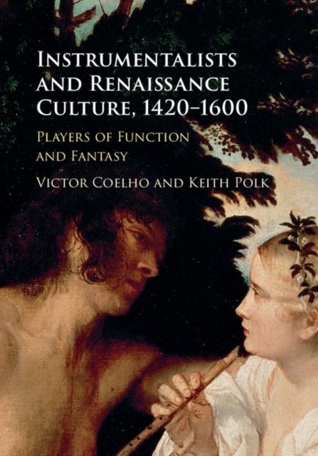 Instrumentalists and Renaissance Culture, 1420-1600 : Players of Function and Fantasy, PDF eBook