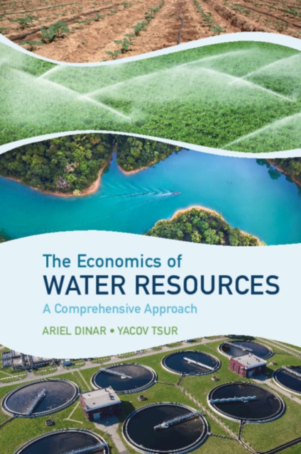 The Economics of Water Resources : A Comprehensive Approach, Paperback / softback Book
