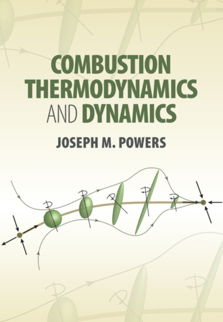 Combustion Thermodynamics and Dynamics, PDF eBook