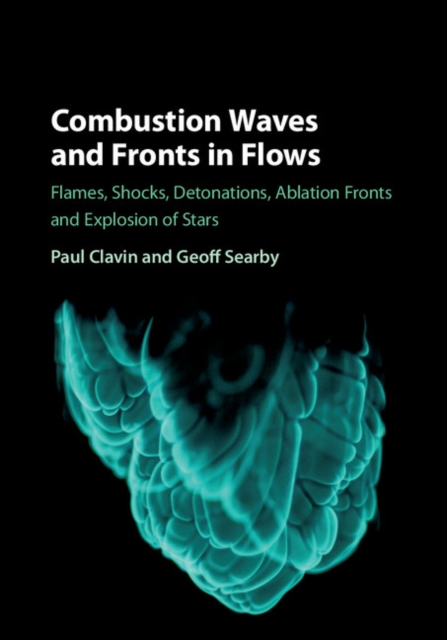 Combustion Waves and Fronts in Flows : Flames, Shocks, Detonations, Ablation Fronts and Explosion of Stars, PDF eBook