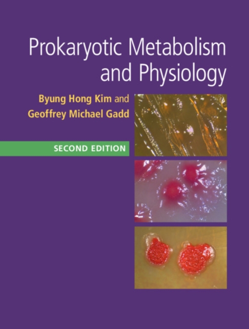 Prokaryotic Metabolism and Physiology, PDF eBook
