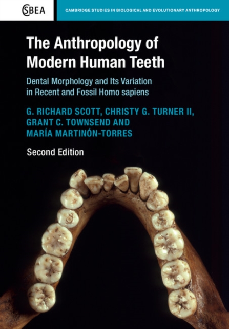 The Anthropology of Modern Human Teeth : Dental Morphology and Its Variation in Recent and Fossil Homo sapiens, PDF eBook