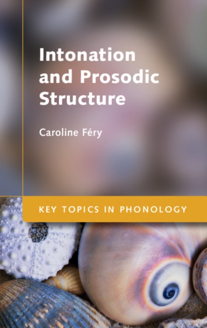 Intonation and Prosodic Structure, EPUB eBook