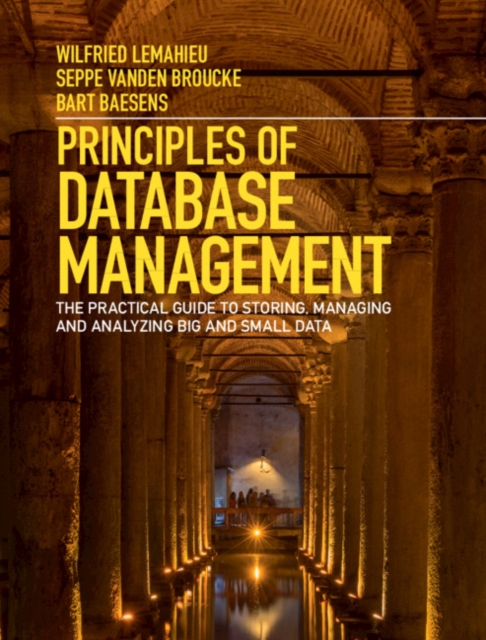Principles of Database Management : The Practical Guide to Storing, Managing and Analyzing Big and Small Data, EPUB eBook