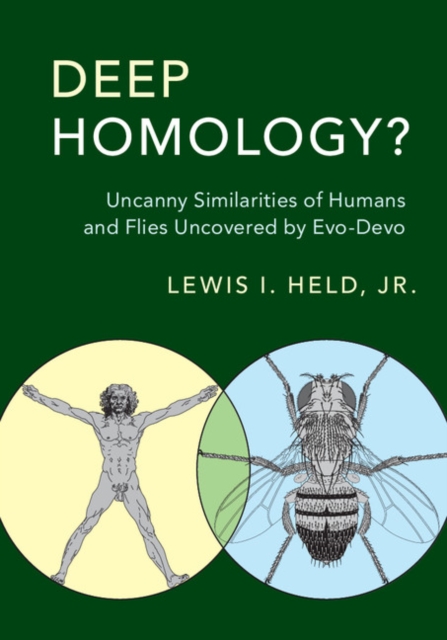 Deep Homology? : Uncanny Similarities of Humans and Flies Uncovered by Evo-Devo, PDF eBook