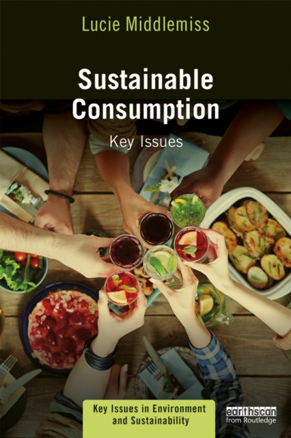 Sustainable Consumption : Key Issues, EPUB eBook