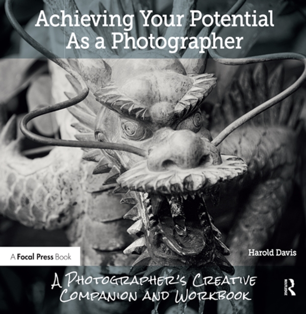Achieving Your Potential As A Photographer : A Creative Companion and Workbook, EPUB eBook