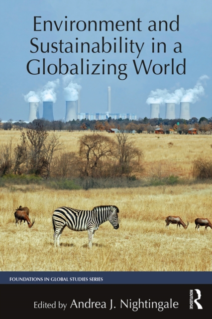 Environment and Sustainability in a Globalizing World, PDF eBook
