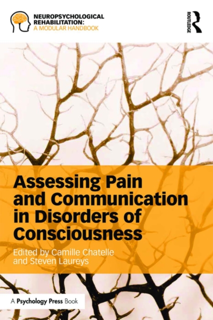 Assessing Pain and Communication in Disorders of Consciousness, PDF eBook