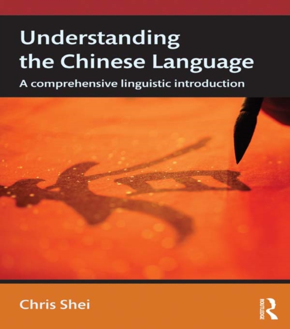 Understanding the Chinese Language : A Comprehensive Linguistic Introduction, PDF eBook