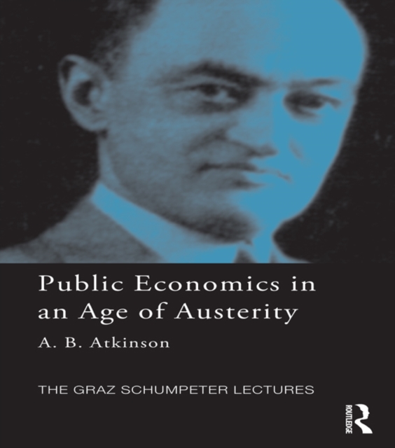 Public Economics in an Age of Austerity, PDF eBook