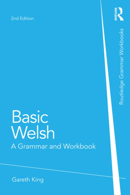 Basic Welsh : A Grammar and Workbook, PDF eBook