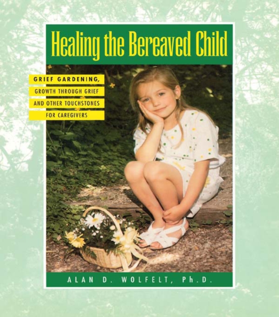 Healing The Bereaved Child, EPUB eBook