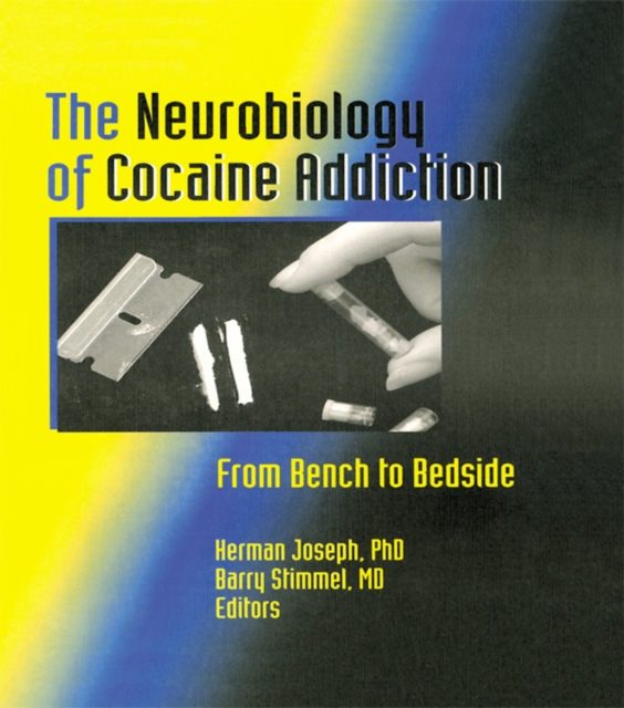 The Neurobiology of Cocaine Addiction : From Bench to Bedside, EPUB eBook