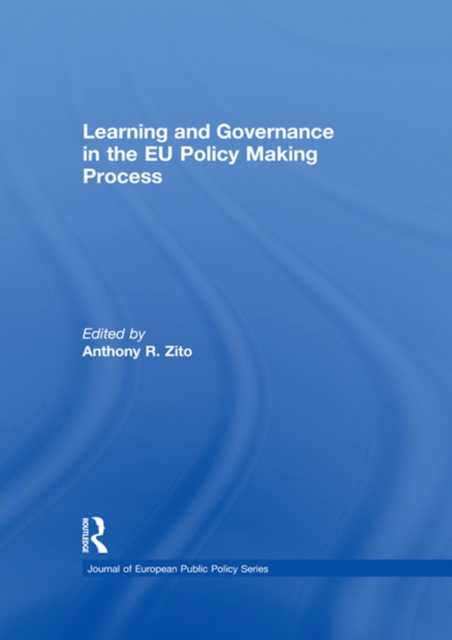 Learning and Governance in the EU Policy Making Process, EPUB eBook