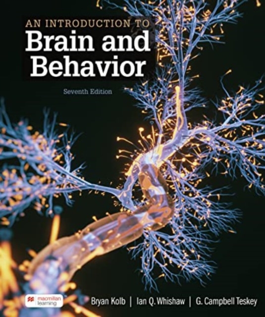 An Introduction to Brain and Behavior, Paperback / softback Book