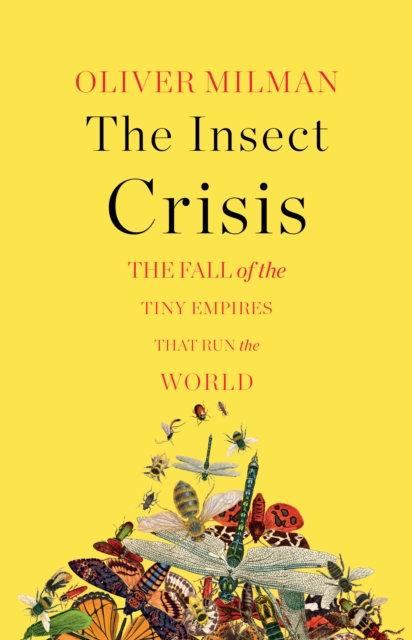 The Insect Crisis : The Fall of the Tiny Empires That Run the World, EPUB eBook